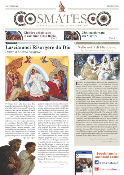 IL COSMATESCO XV